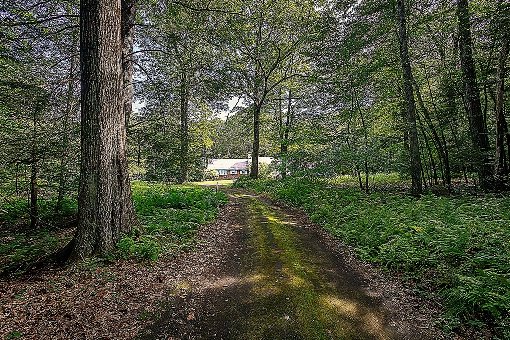 Photo: 24 & 0 North Blandford Rd., Blandford, MA