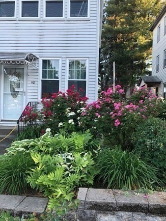 Photo: 40 Ames St, Worcester, MA