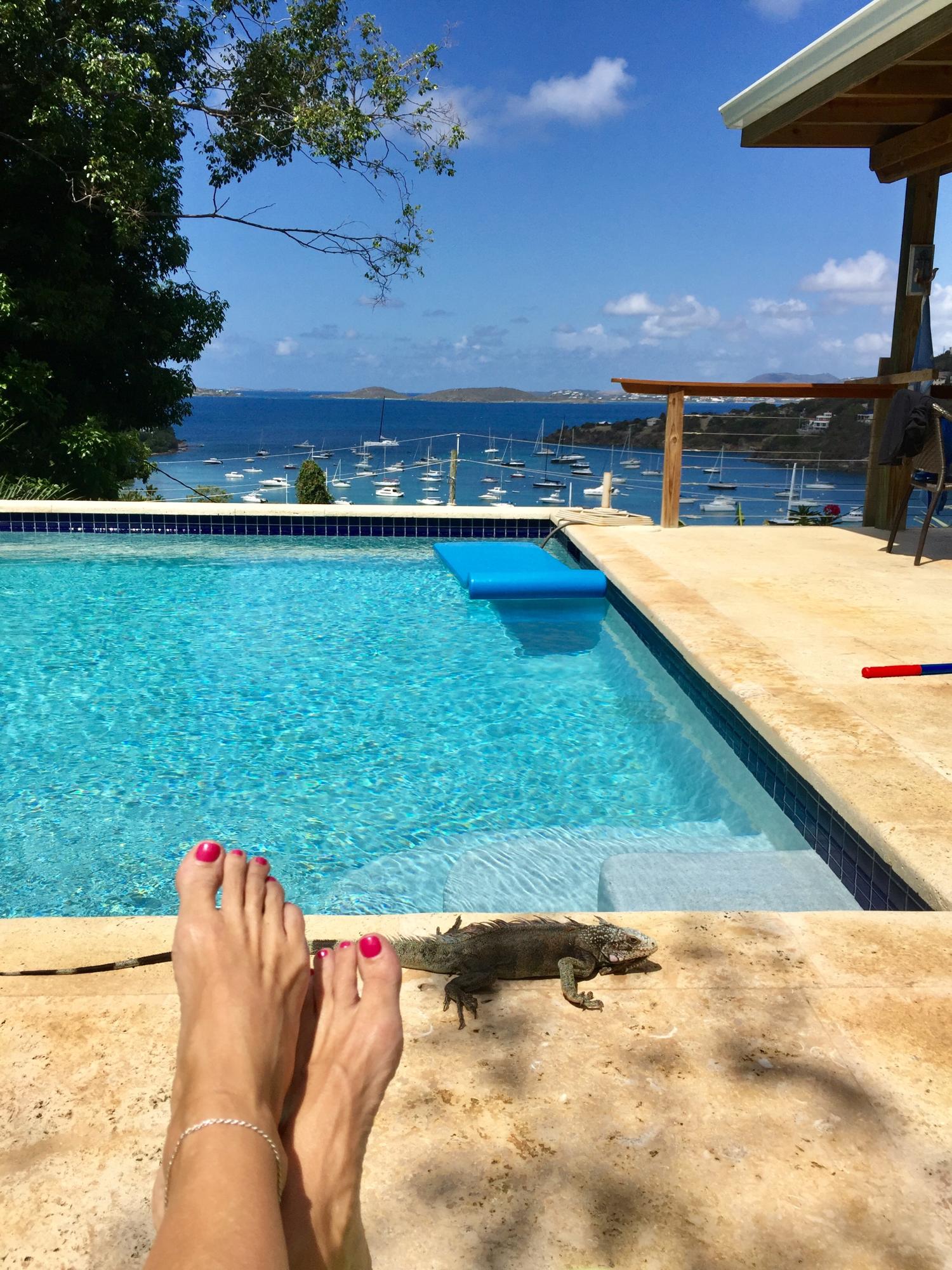 477G Chocolate Hole, St John 00830 Land for 450,000