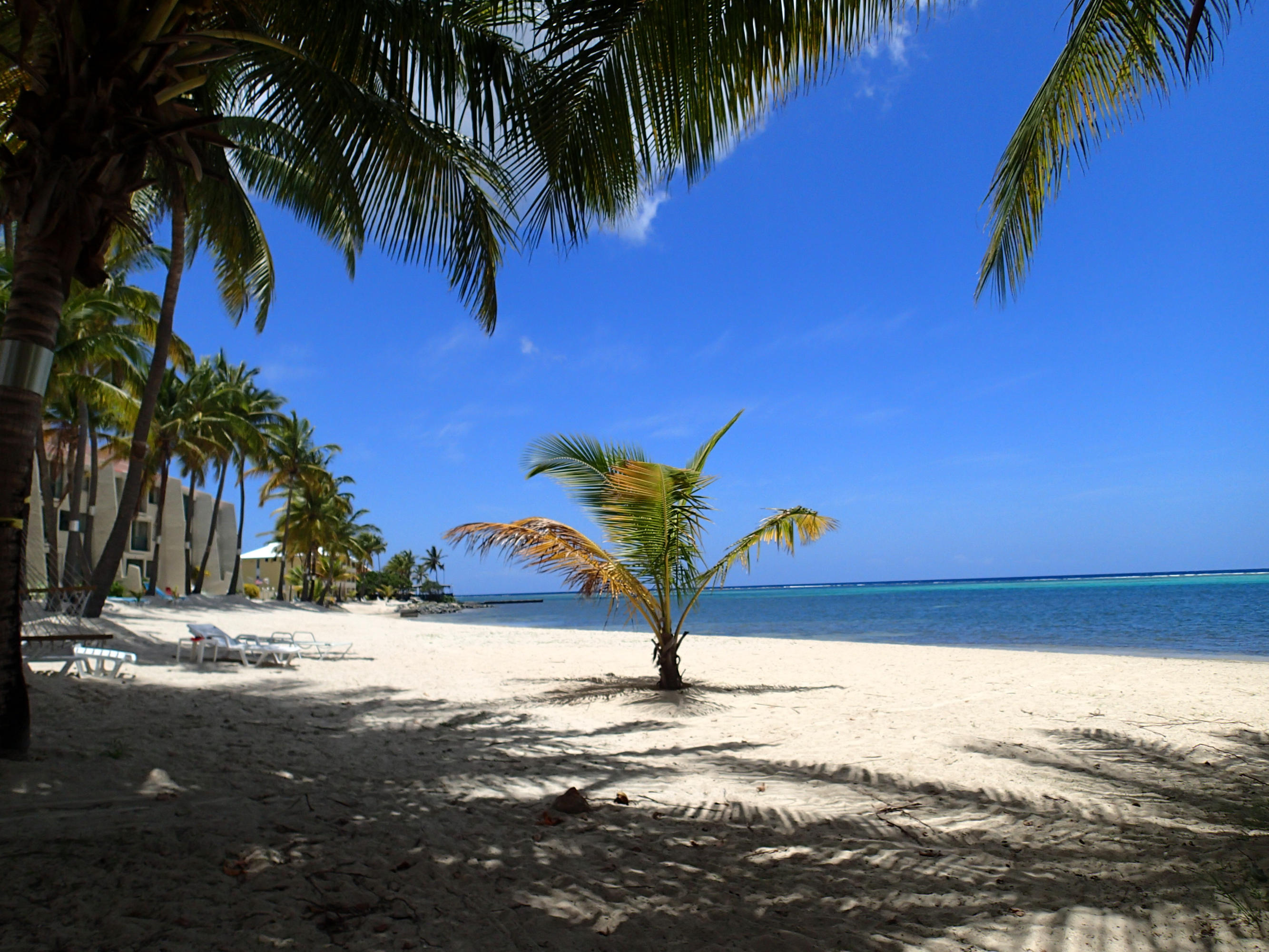 207 Sugar Beach, St. Croix 00820 - Condo for $195,900