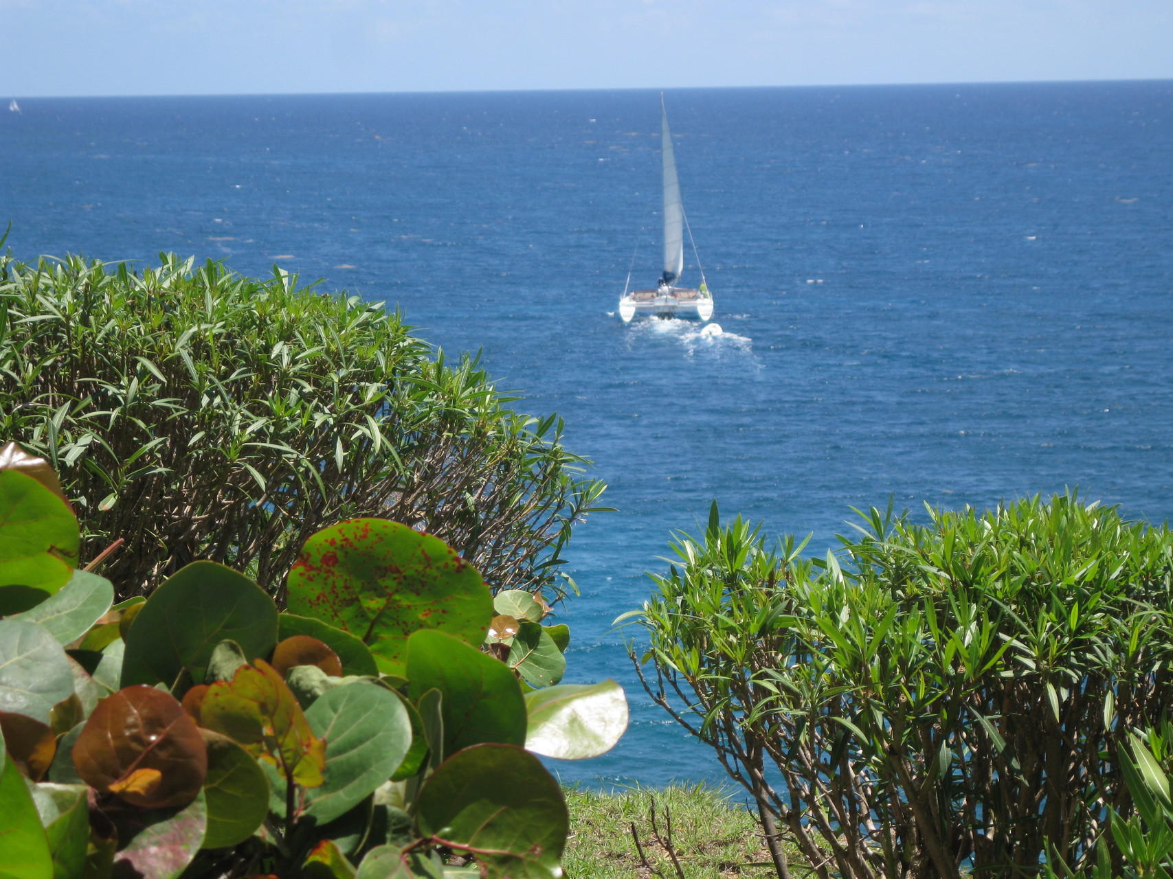 40 Sea Cliff