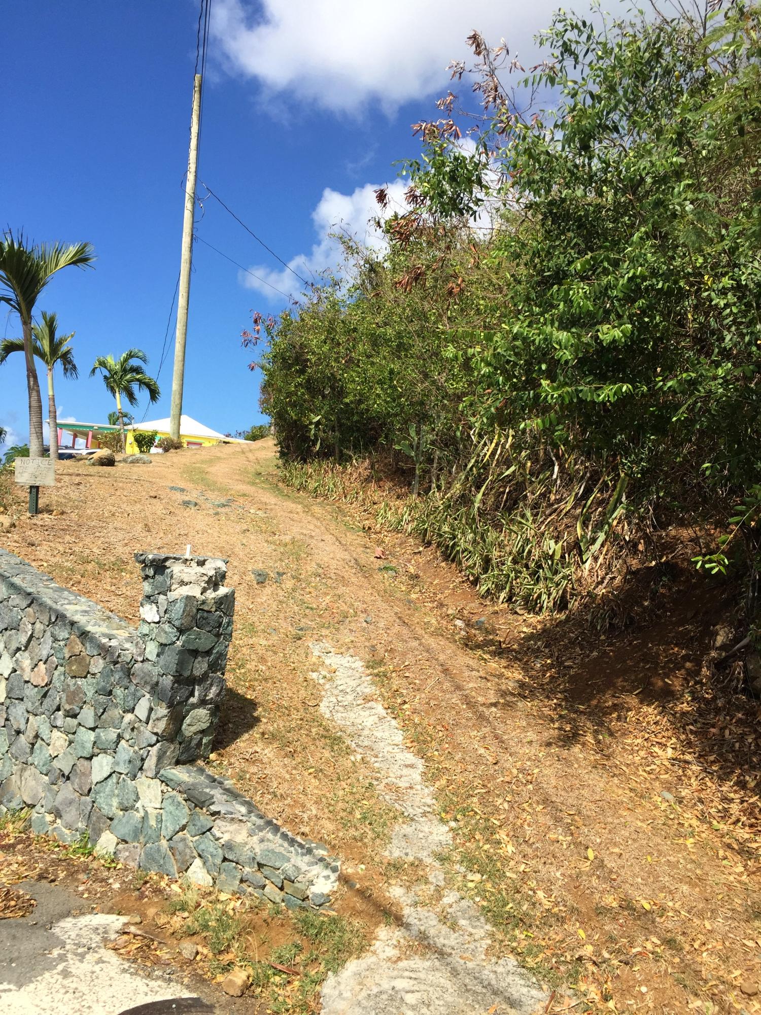 4D Agnes Fancy GNS, St. Thomas 00802 Land for 59,000