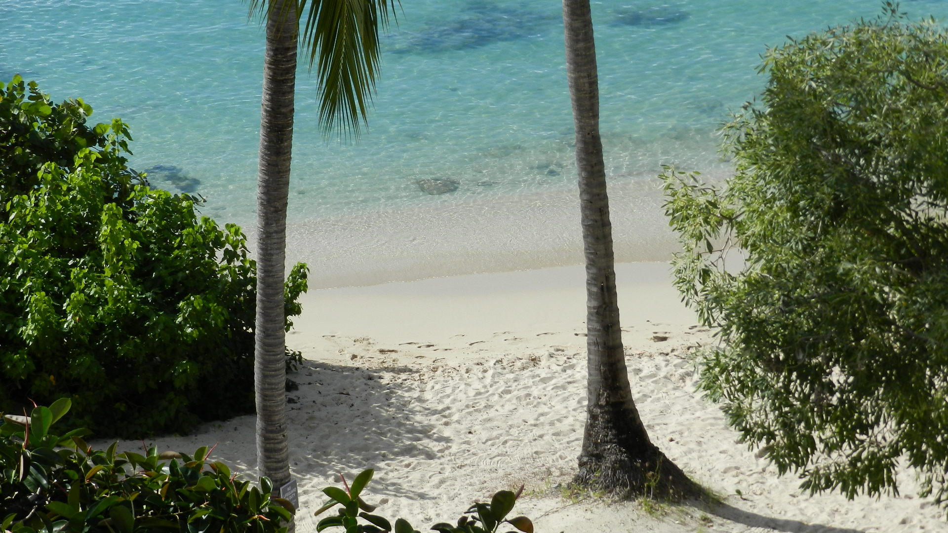 333 Secret Harbor Beach, St. Thomas 00802 Condo for 395,000