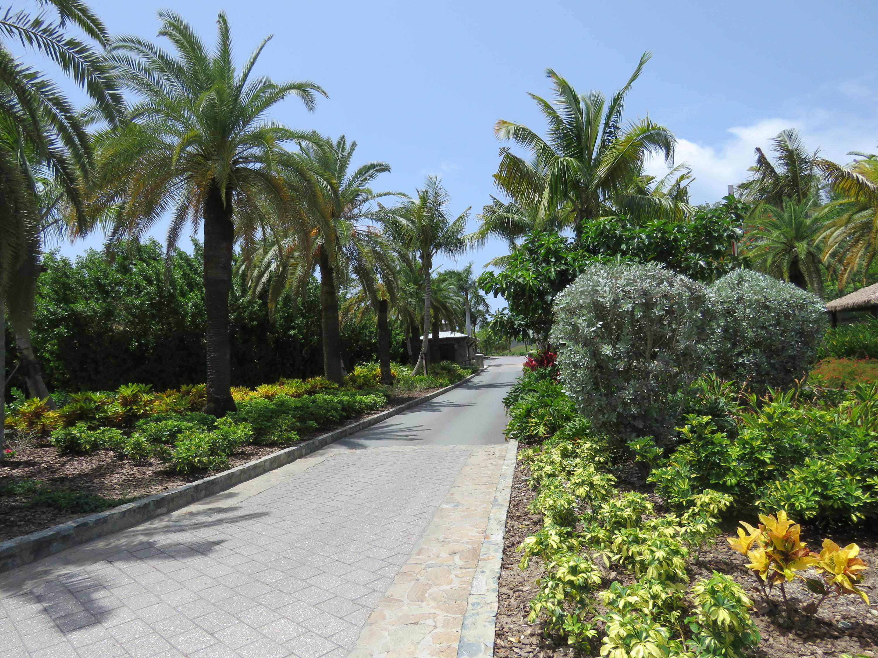 330407 Pineapple Village, St. Thomas 00802 Condo for 349,000