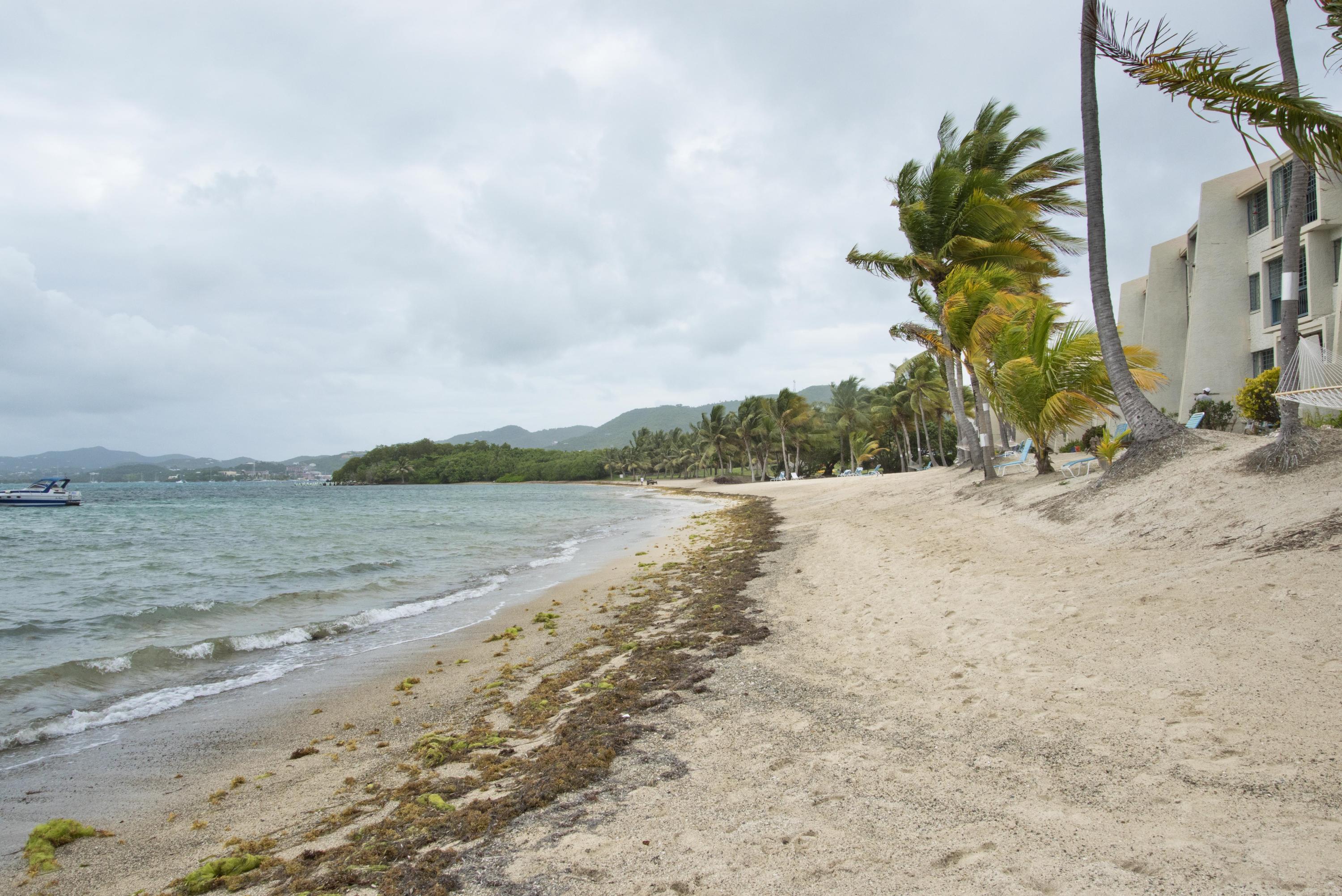 314 Mill Harbour, St. Croix 00820 Condo for 189,000