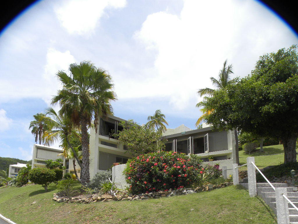432 The Reef, St. Croix 00820 Condo for 289,000