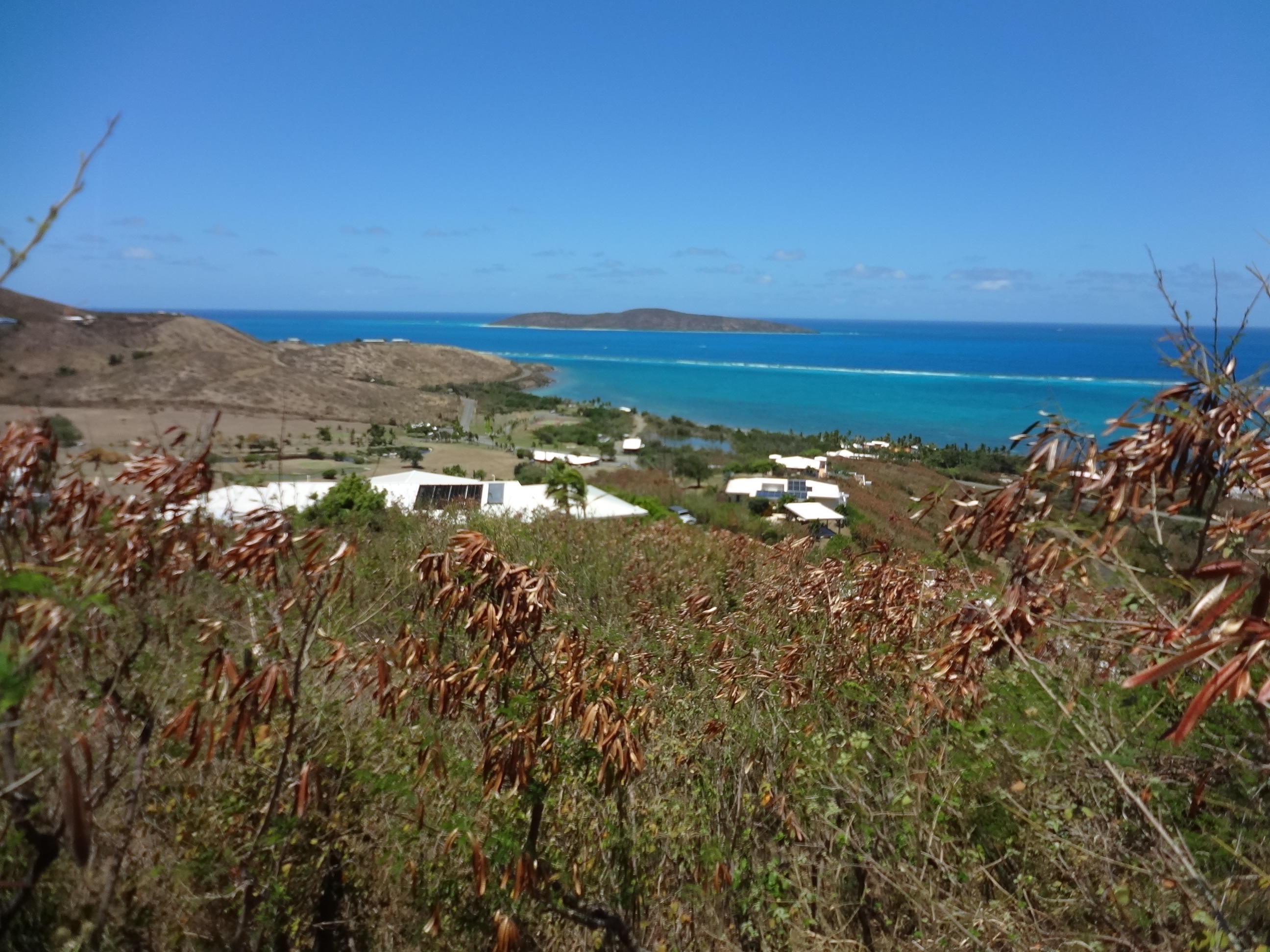 teagues bay st croix