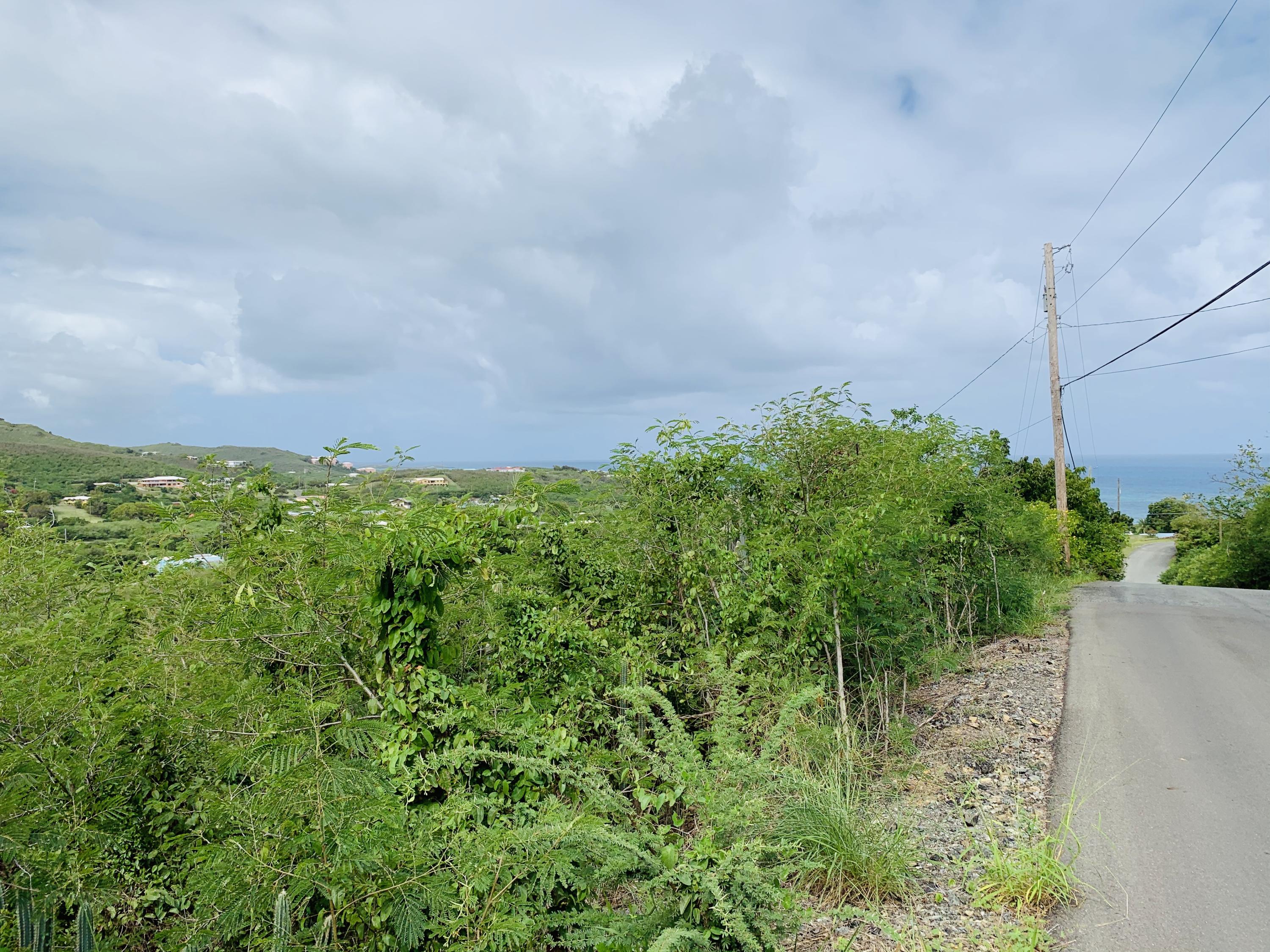 181 Cotton Valley EB, St. Croix 00820 Land for 25,000
