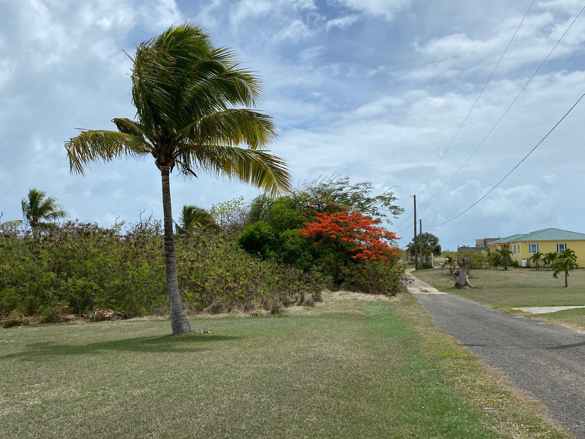 59 Enfield Green PR, St. Croix 00820 Land for 44,000