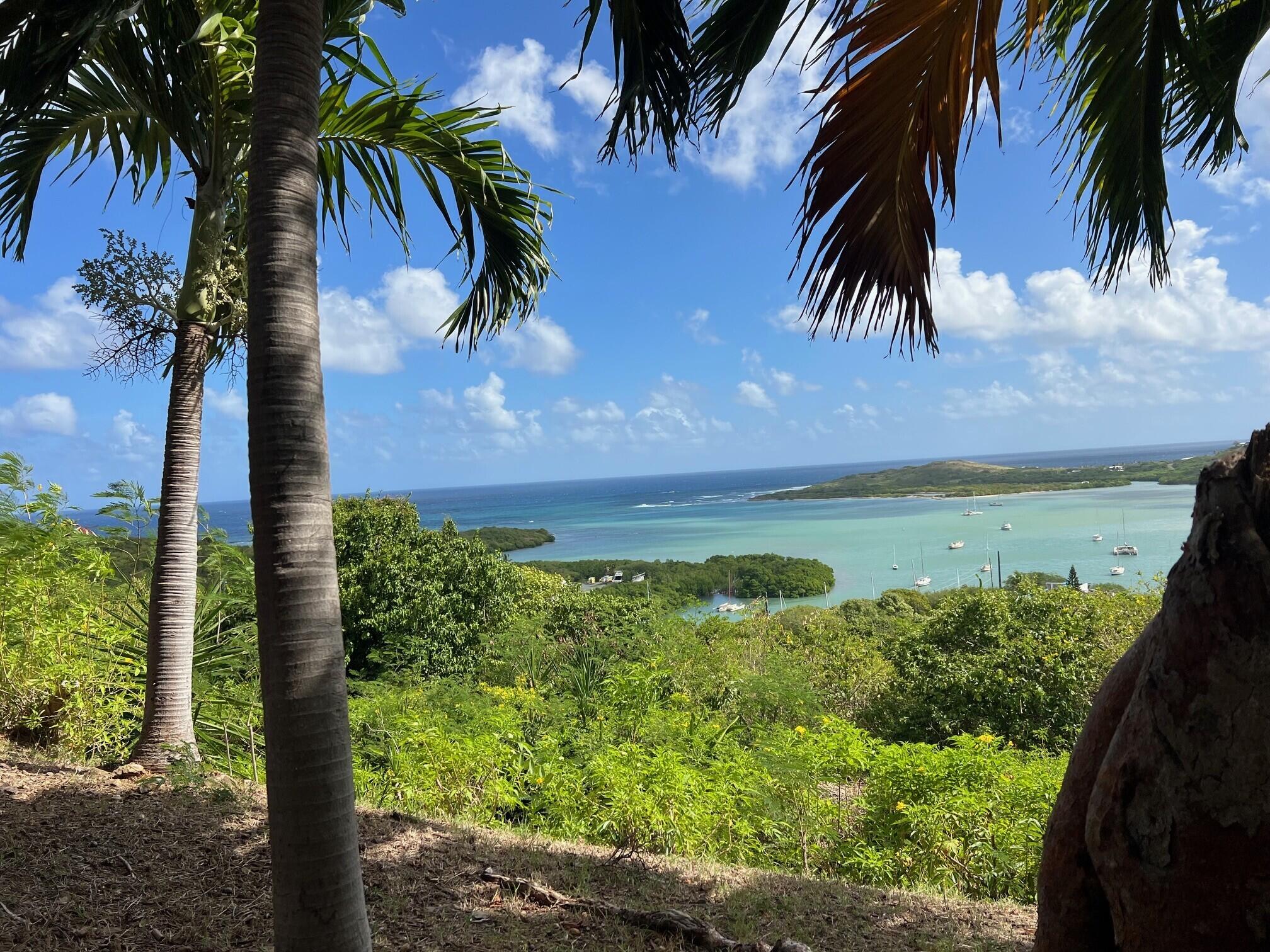 7, 7c Morningstar Qu, St. Croix, 00840, MLS# 25-1044 | Sea Glass Properties